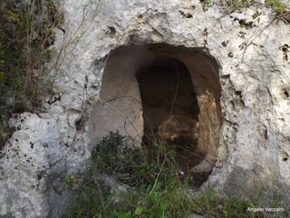 traro-30-12-2021 18-27-42